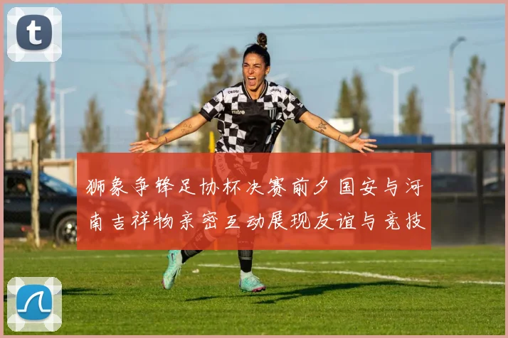 狮象争锋足协杯决赛前夕国安与河南吉祥物亲密互动展现友谊与竞技精神